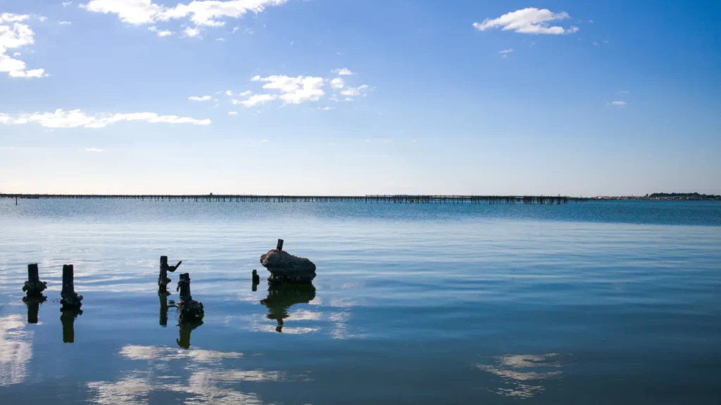 Etang de Thau