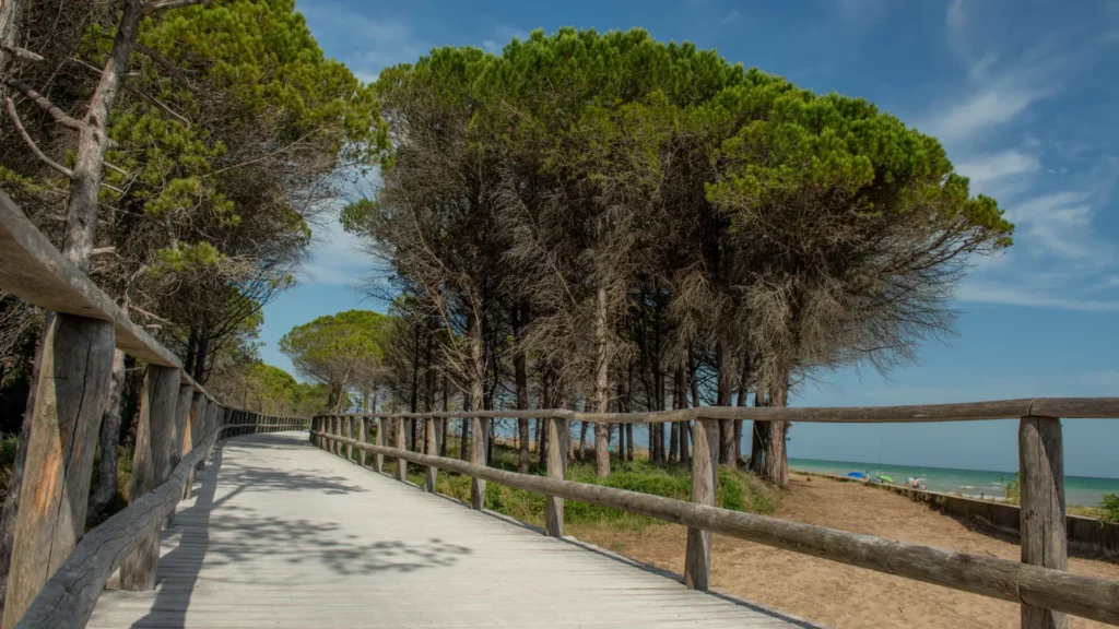 pistes cyclables du languedoc
